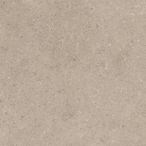 CAESAR PR.TAUPE 60X120 RT