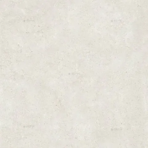 REFIN MOLD MIST SOFT R 60x60