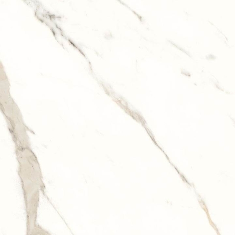 PANARIA TRILOGY CALACATTA WHI LUx/RTT 2*60x120