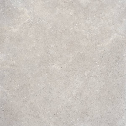 REFIN COQUILLE GRIS R OUT2.0 60x60
