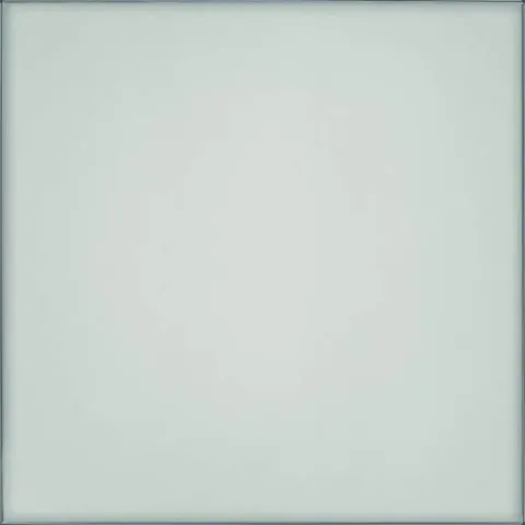 REFIN VETRI NATURALE LUCIDO R 20x60