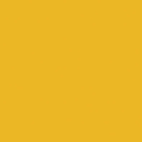 ENERGIEKER UNICOLORS GIALLO 20x20 R9