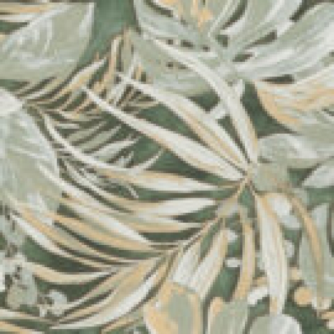 NAXOS EXOTIC 60X120