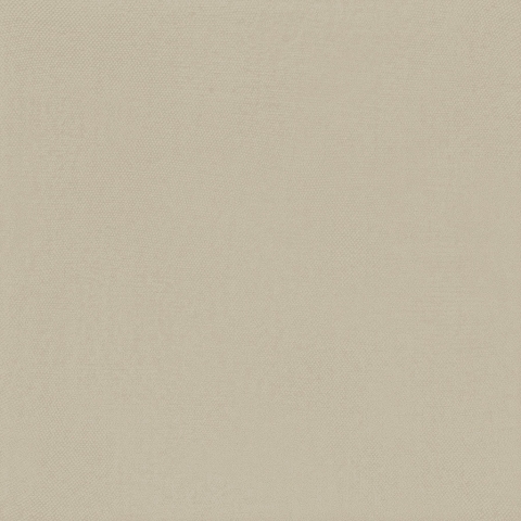 BARDELLI PITTORICA 7/M 25x25